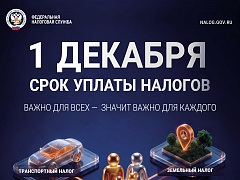 ФНС напоминает: до 1 декабря нужно уплатить налоги