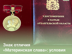 Объявлен прием документов для награждения многодетных матерей знаком отличия «Материнская слава».
