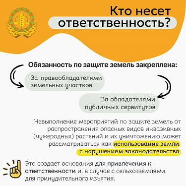 Борьба с борщевиком станет обязательной !