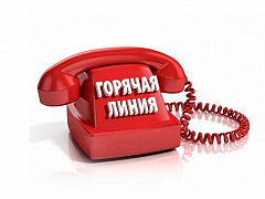 Прокуратурой района организована работа «горячей линии» по вопросам защиты прав инвалидов, ветеранов и пенсионеров