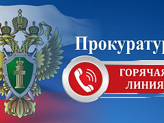 Жителей Шенкурского муниципального округа приглашают на личный прием по вопросам исполнения законодательства в сфере здравоохранения