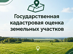 Извещение о размещении проекта отчета об итогах государственной кадастровой оценки, порядке и сроках представления замечаний к проекту отчета