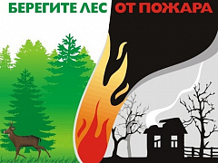 Берегите лес от пожара 