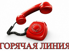 "Горячая линия" по вопросам организации питания в общеобразовательных организациях